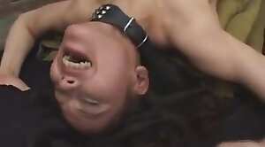 bet0911 - japanese,animal-fuck