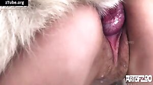 bestiality-stories,porno-scene