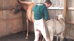 clube de piscina em garanhuns - animals-video,sex-movie