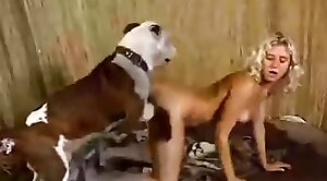 free-zoo,animal-porn