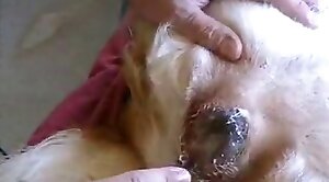 relacionado ao chamado planeta vermelho - animal-porn,sex-movie