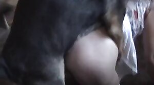 animal-girl,animal-fuck