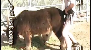 horse-sex,animal-fuck