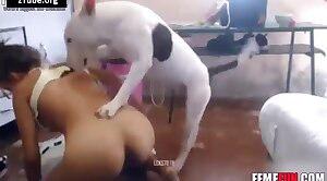 dog-xxx,sex-movie